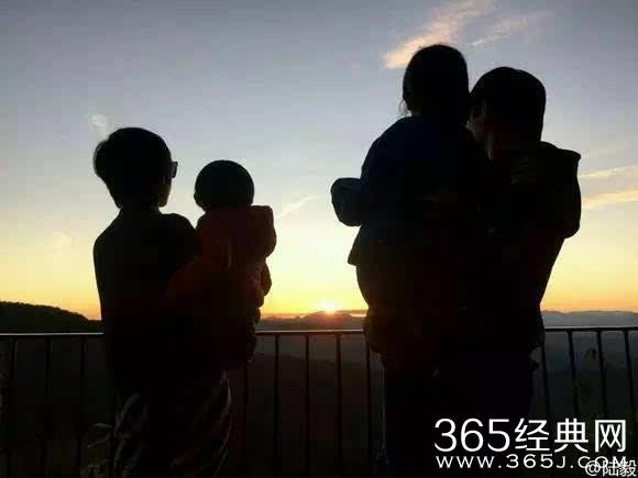 了解知识星球平台狗的记忆力大约多少?,分享与学习互助的知识社区